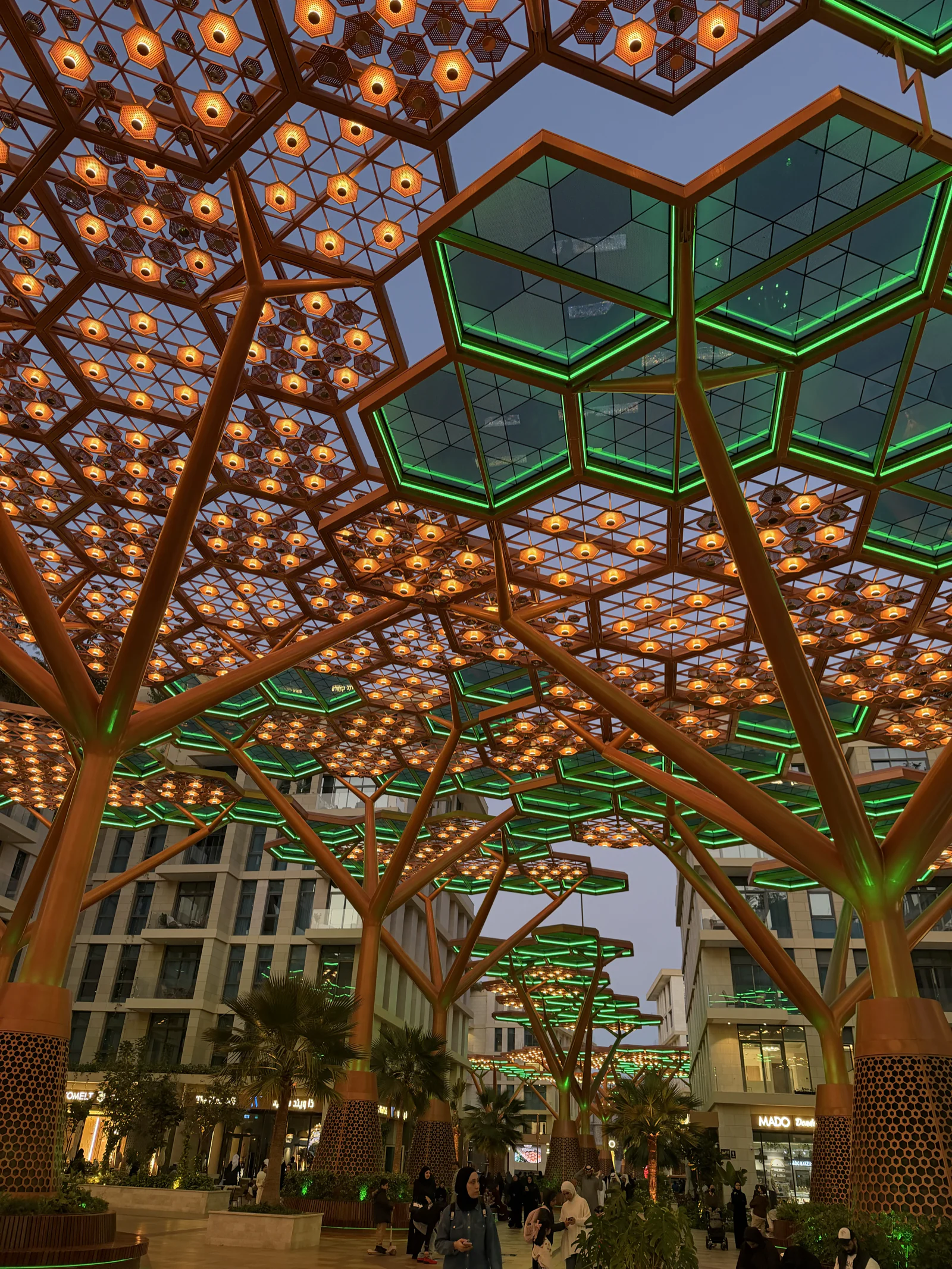 La canopée de Crystal Walk à Gewan Island vue en contre-plongée, structure arborescente en bois et verrière hexagonale colorée