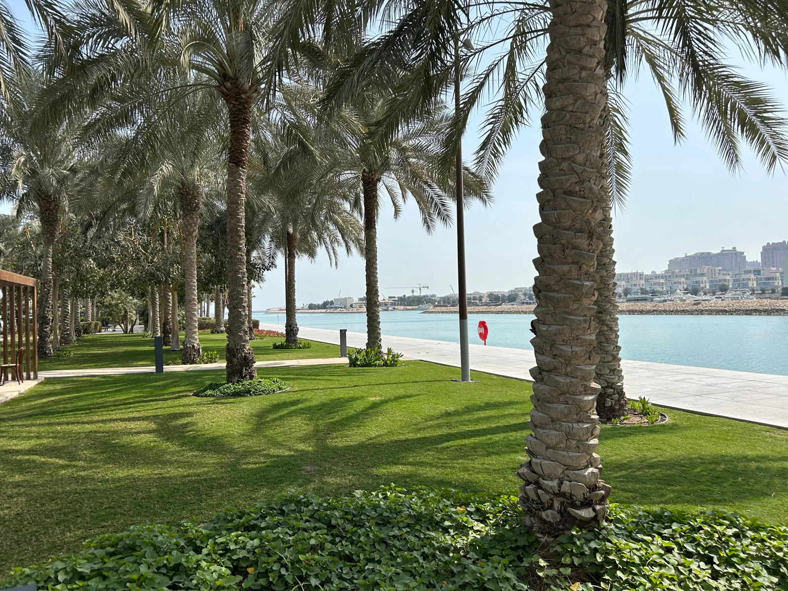 Parc planté de palmiers en bord de mer à Lusail, pelouse et promenade