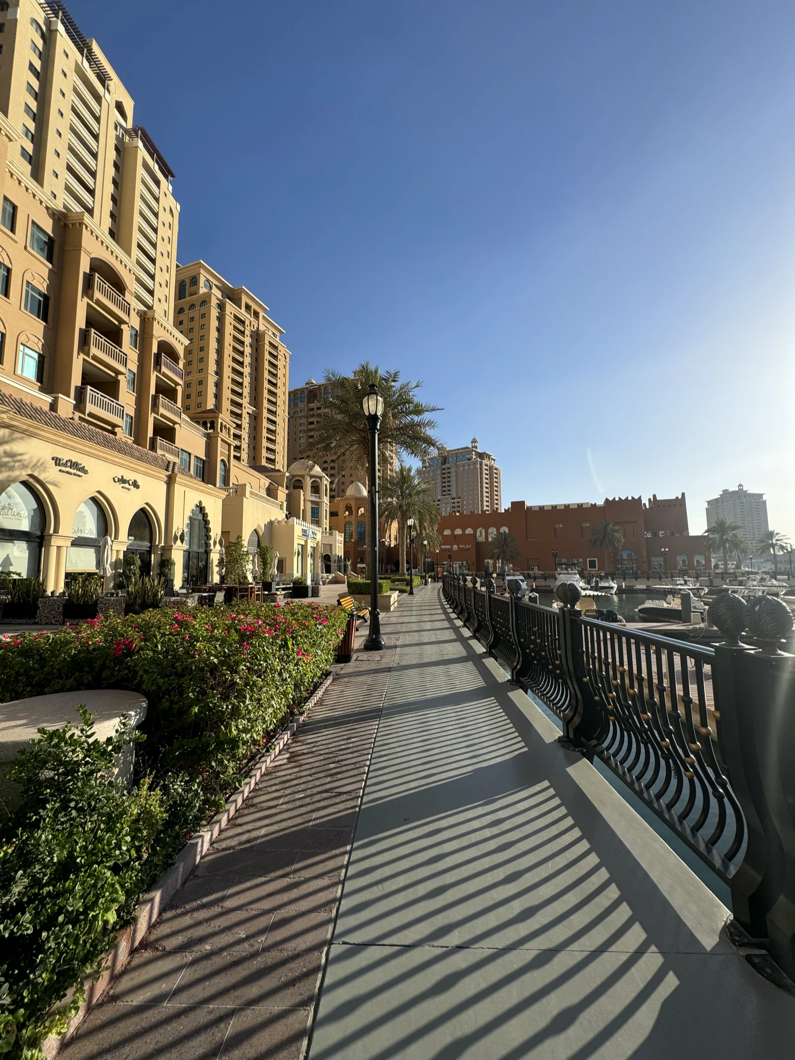Promenade plantée le long de la marina de Porto Arabia, à The Pearl, en fin de journée
