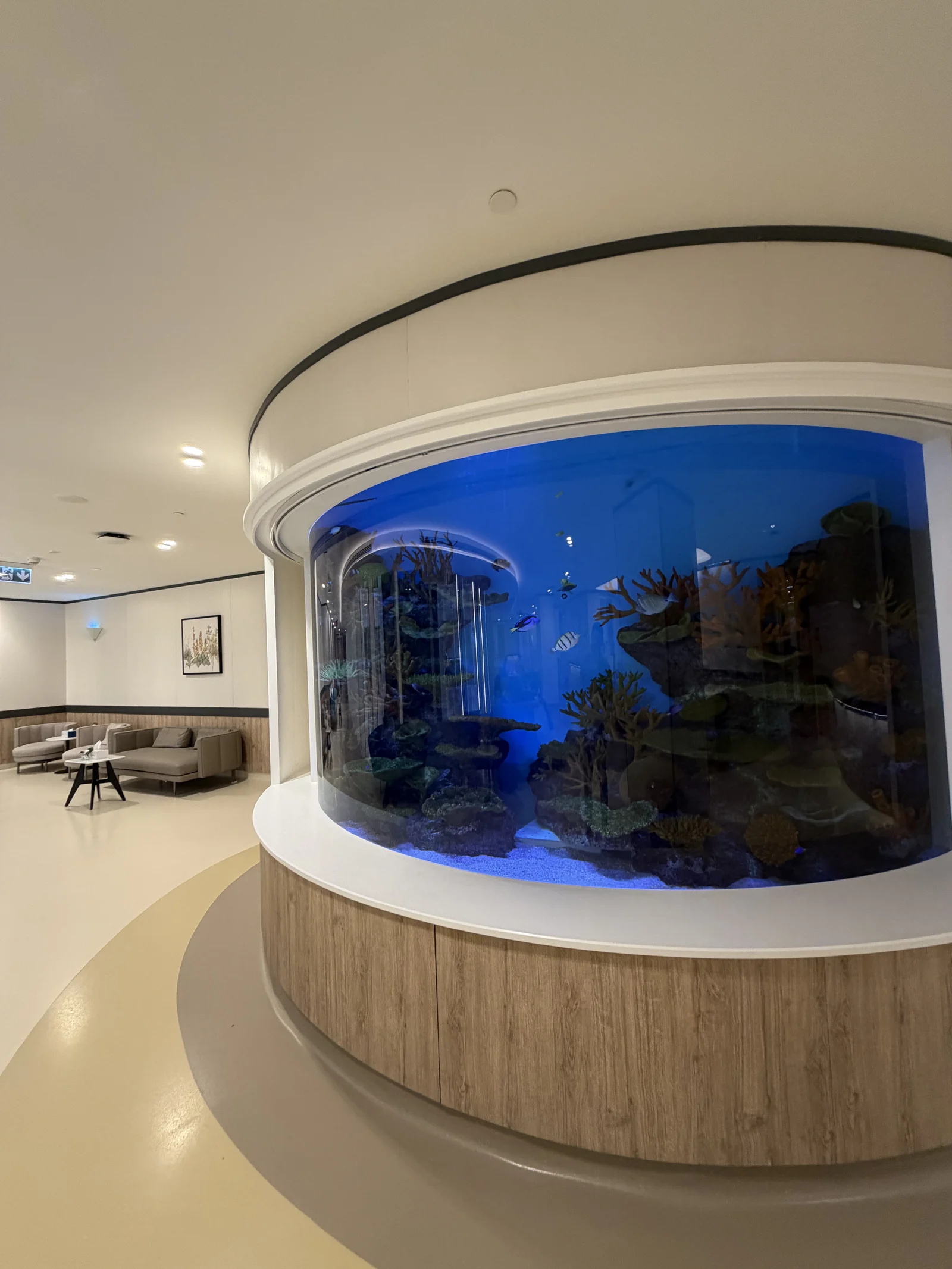 Le grand aquarium encastré dans le mur courbe d'un salon d'attente